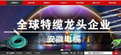 安徽電*股份有限公司企業(yè)網(wǎng)站建設營(yíng)銷(xiāo)型案例作品