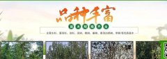 南縣盛*苗木種植有限公司做網(wǎng)站有創(chuàng  )意的主題設計