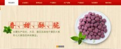 紅太*食品(榮成)有限公司制作網(wǎng)站新一代自助建站、智能建站系統