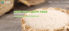 豐城市中*農業(yè)發(fā)展有限公司網(wǎng)站建設新一代自助建站、智能建站系統