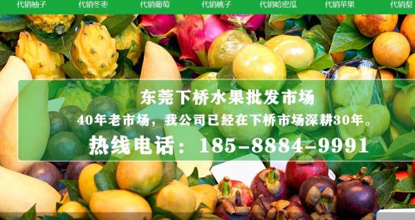東莞下橋水果批發(fā)市場(chǎng)與我司簽訂網(wǎng)站設計協(xié)議