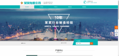 網(wǎng)站seo優(yōu)化客戶(hù)程序開(kāi)發(fā)技術(shù)